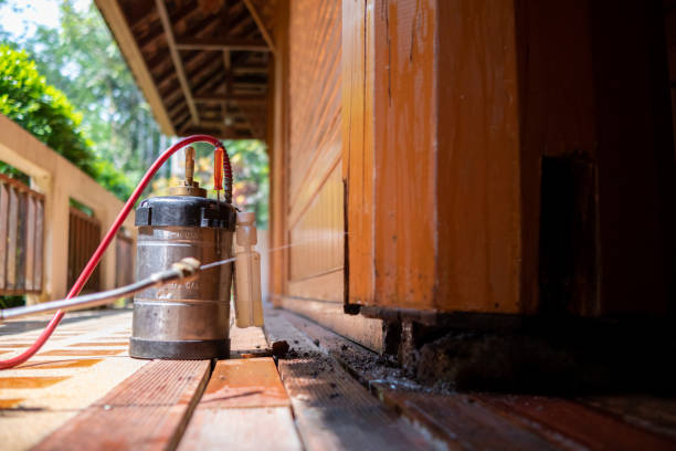 Best Pest Removal Services  in Lake Montezuma, AZ