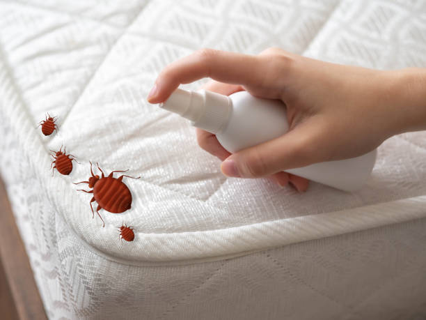 Pest Control Cost in Lake Montezuma, AZ