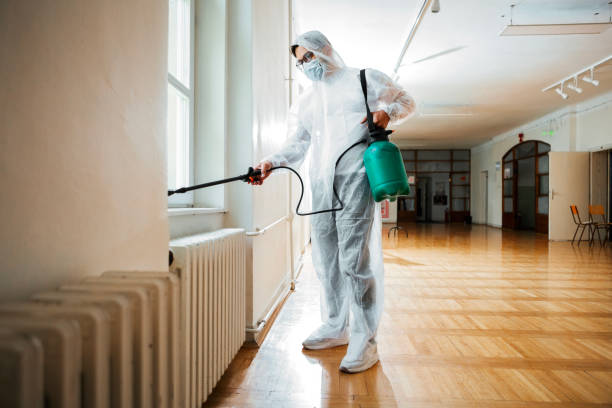 Pest Control for Restaurants in Lake Montezuma, AZ